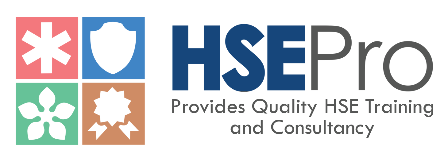 HSEPro Logo